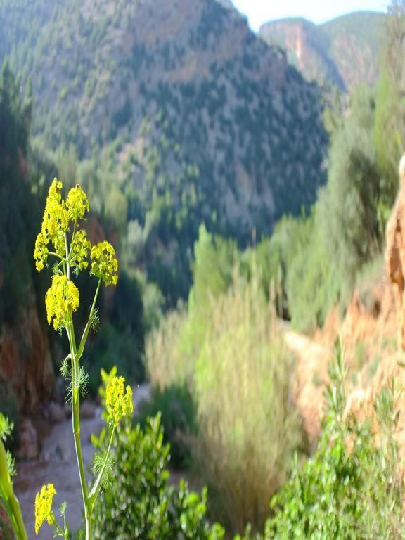 Riad Cascades D'อูซูด ภายนอก รูปภาพ
